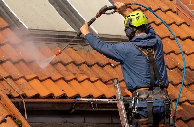 Démoussage et hydrofuge de toiture à Saint-Priest-Bramefant